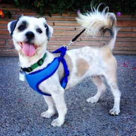 Good Morning Monterey Bay August 18, 2014