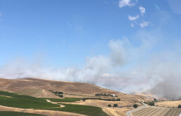 King City Vegetation Fire Quelled  6.8.2020   0630  js